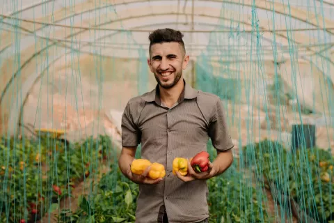Man from Jordan holding fruit grown in a greenhouse