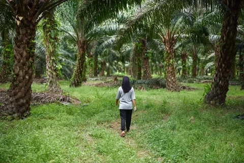 Woman walks in a forest in Malaysia
